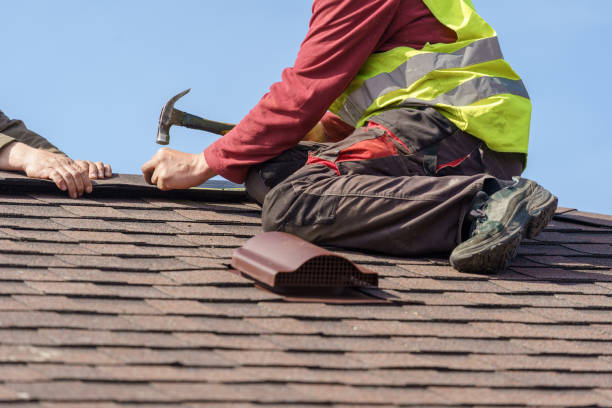 Best Roof Gutter Cleaning  in Little Falls, MN