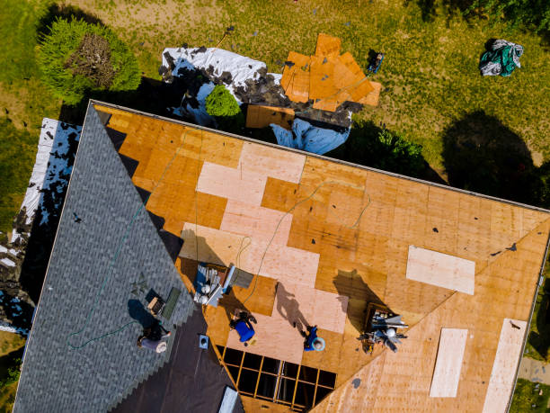 Best Roof Replacement Cost  in Little Falls, MN