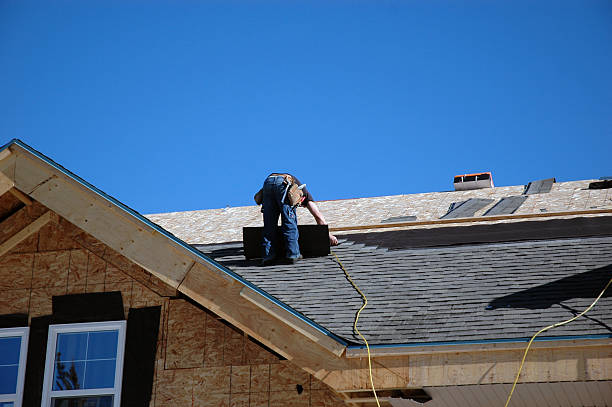 Best New Roof Installation  in Little Falls, MN