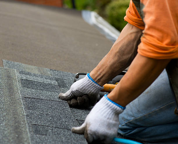 Best Roof Leak Repair  in Little Falls, MN