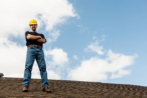 Roof Gutter Cleaning in Little Falls, MN