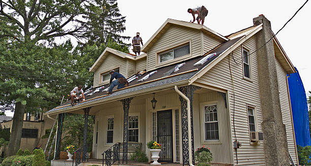 Best Roof Repair Specialists  in Little Falls, MN