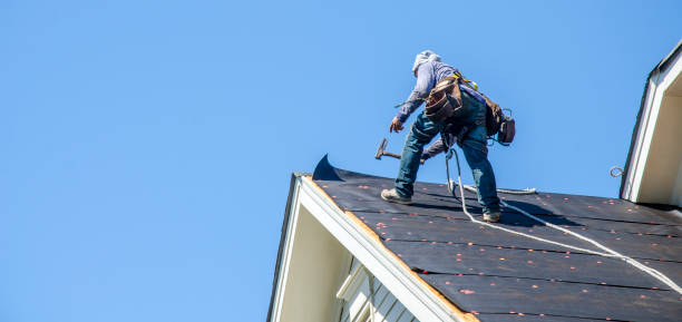 Best Residential Roofing Contractor  in Little Falls, MN