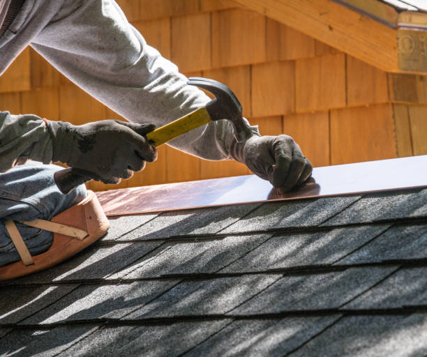 Best Local Roofing Companies  in Little Falls, MN
